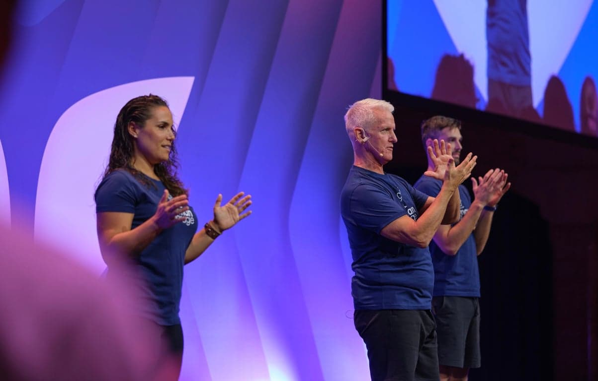The Activation – public experience